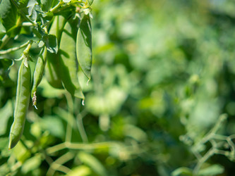 Similar image 21263089