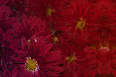 Similar image 21263095