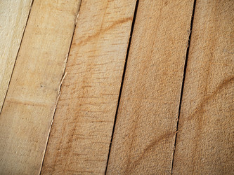 Similar image 21263097