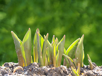 Similar image 21263025