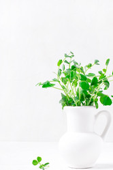 Similar image 21267348