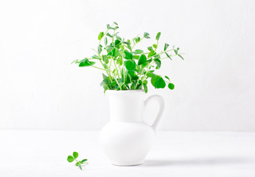 Similar image 21267349