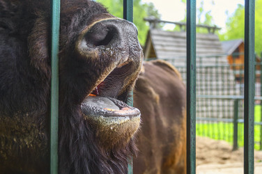 Similar image 21262877