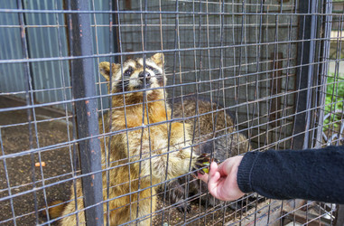 Similar image 21262878