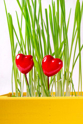 Similar image 21265302