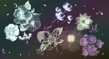 Similar image 21269608