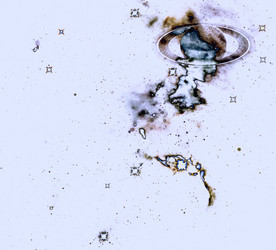 Similar image 21269635