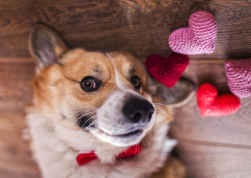 Similar image 21262528