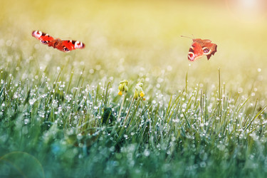 Similar image 21262529