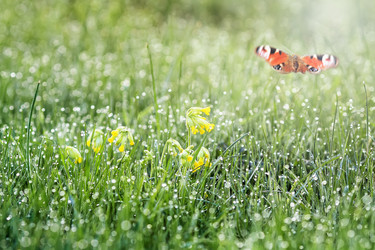 Similar image 21277756