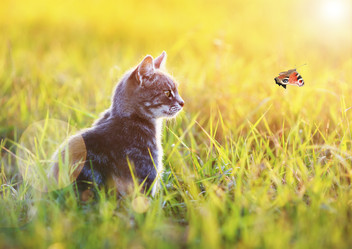 Similar image 21279396