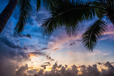 Similar image 21278875