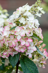 Similar image 21291909