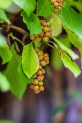 Similar image 21291910