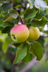 Similar image 21291911