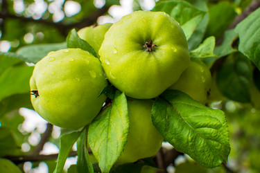 Similar image 21291913