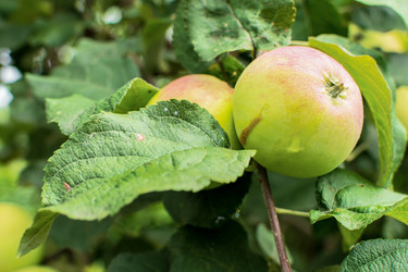 Similar image 21279293