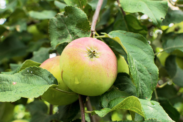 Similar image 21279294