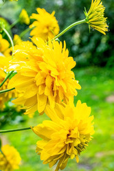 Similar image 21279295