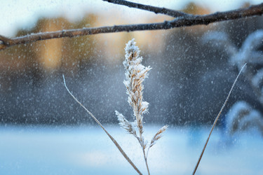 Similar image 21279298