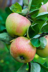 Similar image 21279302