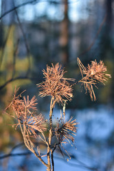 Similar image 21279303