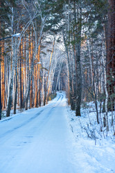 Similar image 21279304