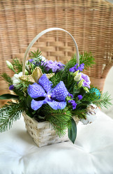 Similar image 21279305