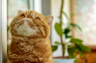 Similar image 21291768