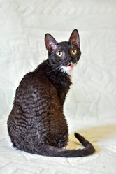 Similar image 21291831