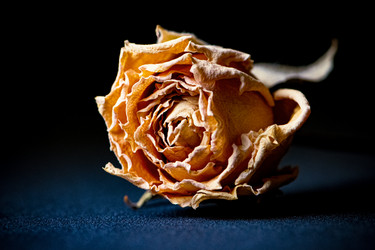 Similar image 21279435