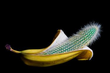 Similar image 21279452