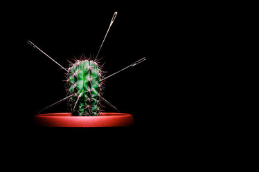 Similar image 21279455