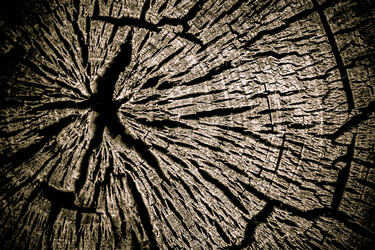 Similar image 21279458