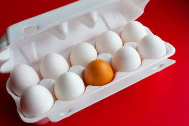 Similar image 21279461