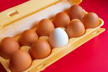 Similar image 21279462