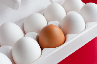 Similar image 21279464