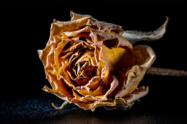 Similar image 21279467