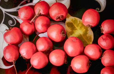 Similar image 21269682