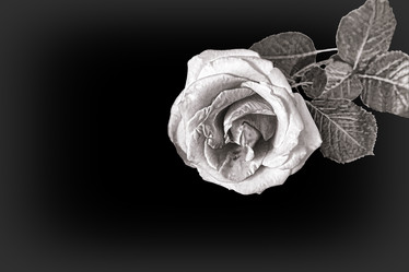 Similar image 21274741