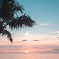 Similar image 21278895