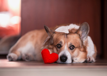 Similar image 21275379