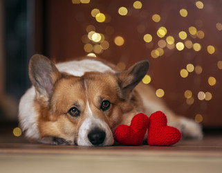 Similar image 21275381