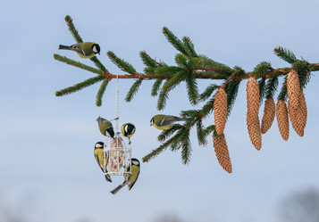 Similar image 21275382