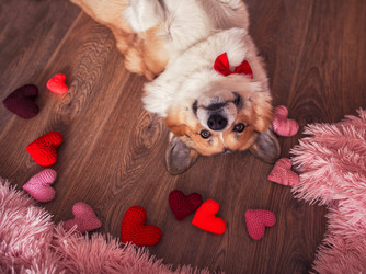 Similar image 21275383