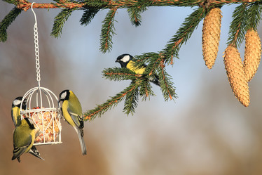 Similar image 21275387