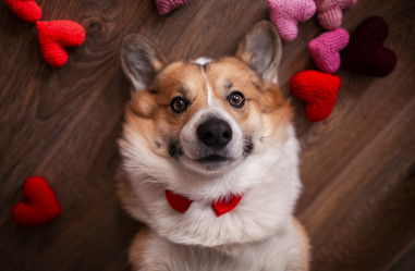 Similar image 21275389