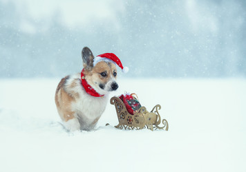 Similar image 21275391