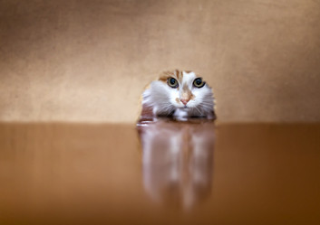 Similar image 21275392