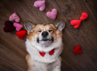 Similar image 21275393